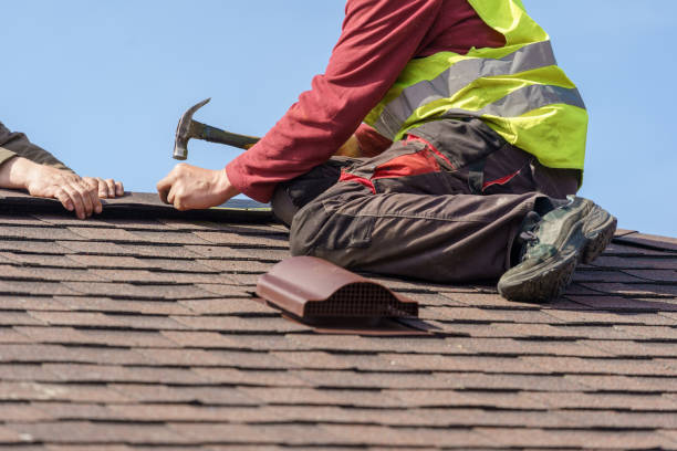 Gutter Installation and Roofing in East Highland Park, VA