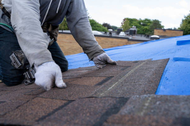 Quick and Trustworthy Emergency Roof Repair Services in East Highland Park, VA